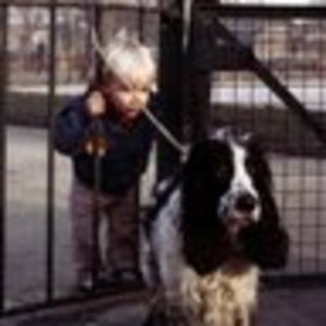 Meet your Posher, Alex